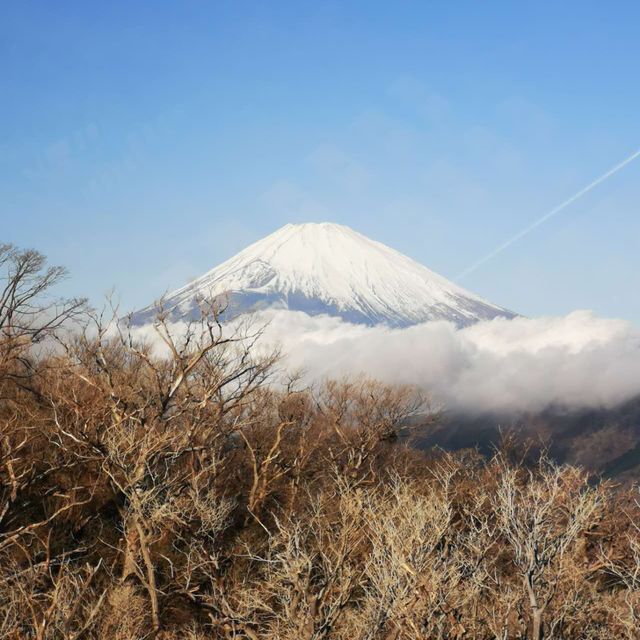 Hakone Ropeway - Mt. Fuji View