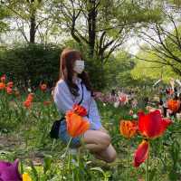 서울숲에서 튤립과 힐링🌷