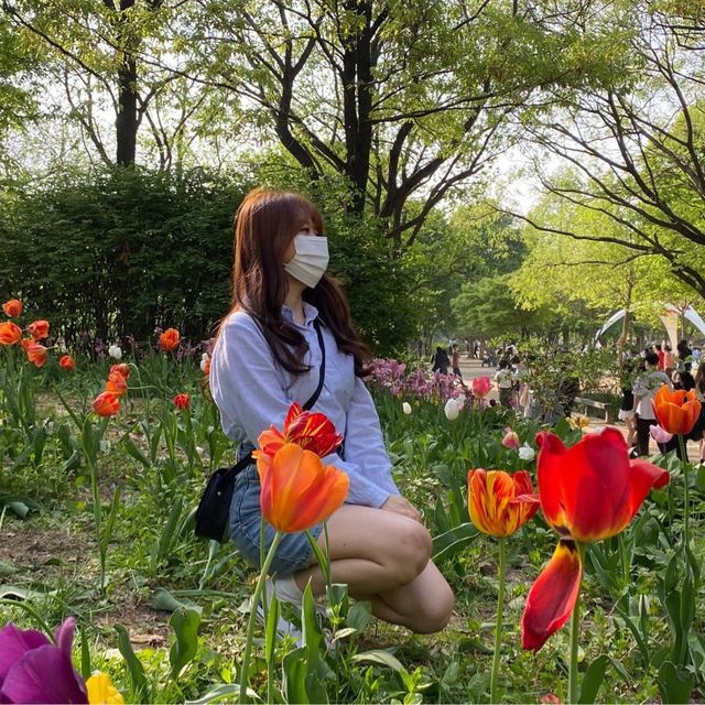 서울숲에서 튤립과 힐링🌷