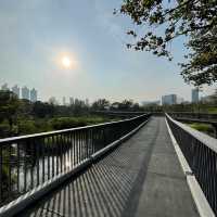 สวนเบญจกิติ และ Skywalk 