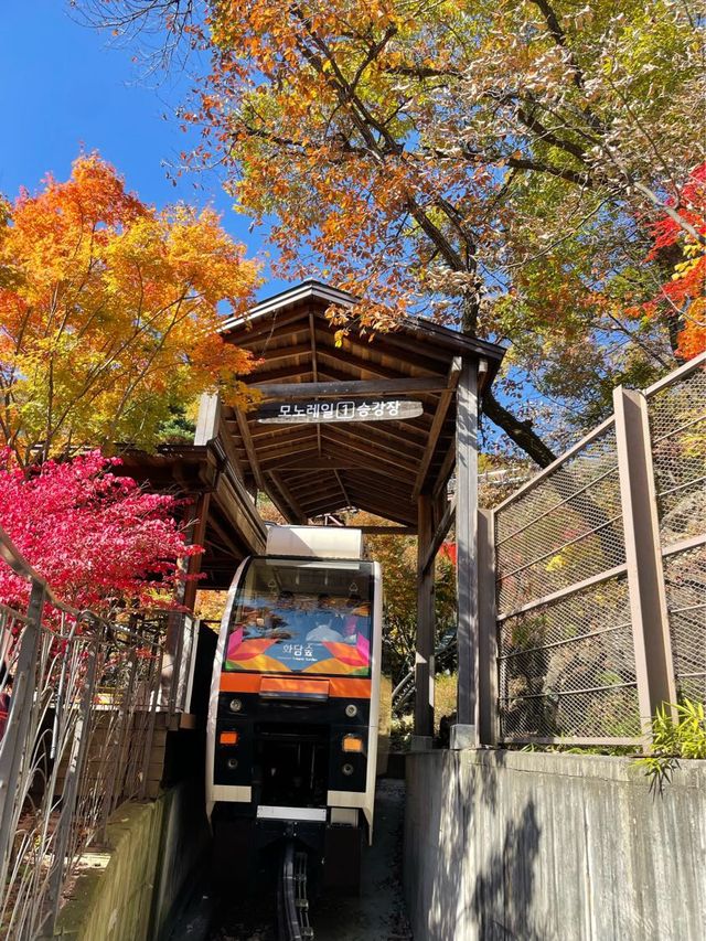 11월 여행지 추천:: 곤지암 화담숲🍁
