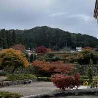 【兵庫県】ペットと旅行におすすめ！絶品出石そばを食す