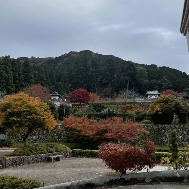 【兵庫県】ペットと旅行におすすめ！絶品出石そばを食す