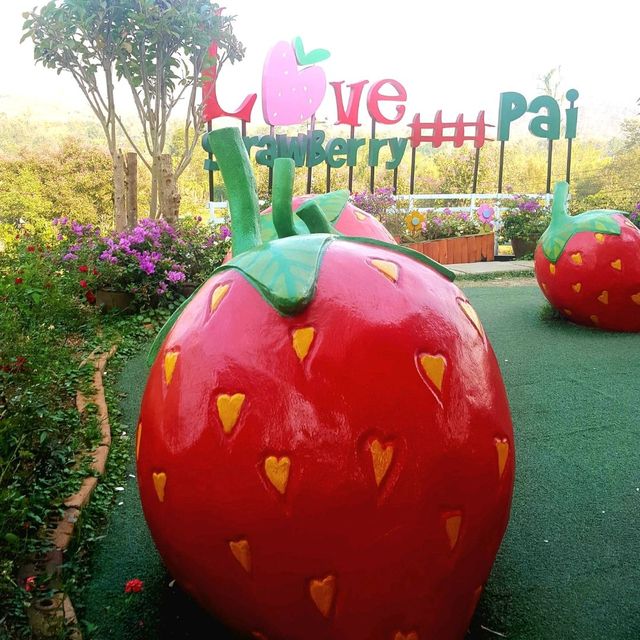 Love Strawberry Pai
