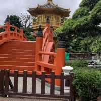 日式園林美景,鬧市中的心靈靜逸休憩地方:南蓮園池&志蓮淨苑