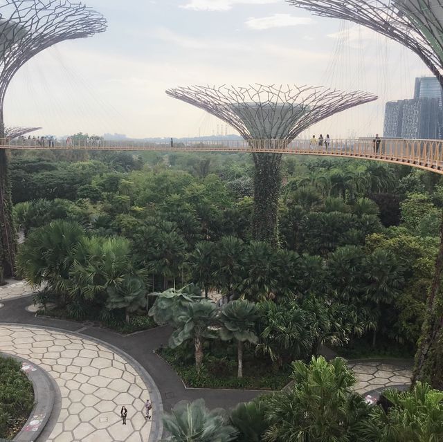 gardens by the bay สวนสวยยอดนิยมของสิงคโปร์