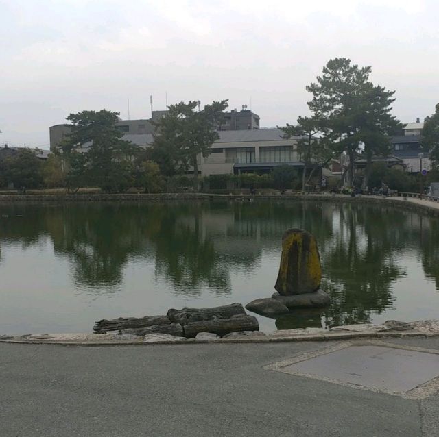나라에 오면 꼭 가야하는 도다이지를 가보자