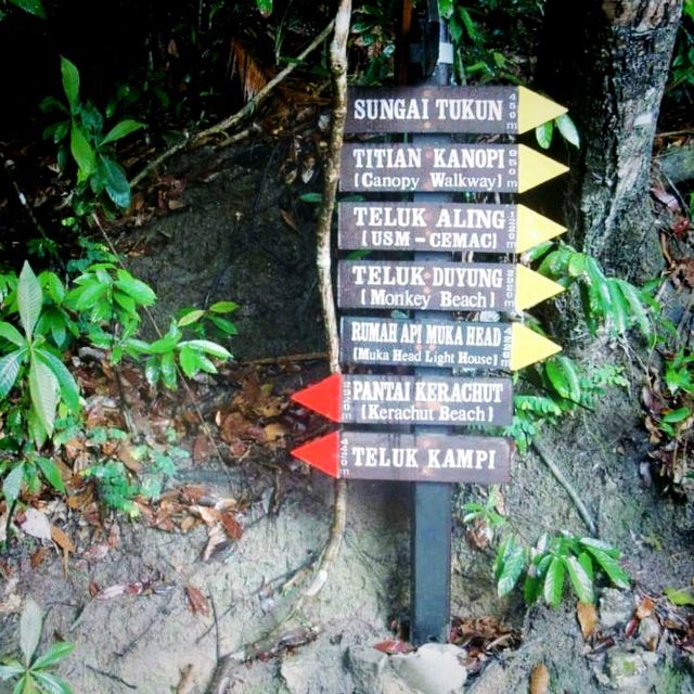 Hiking At Penang National Park