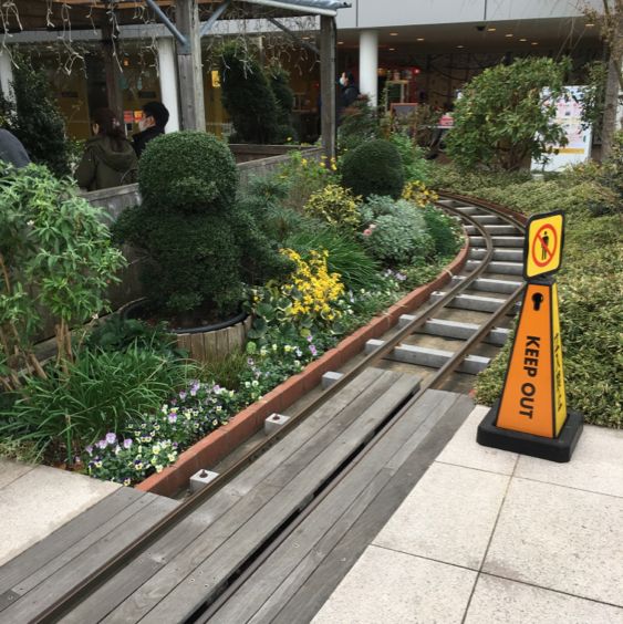 天空の憩い場【つばめの杜ひろば】