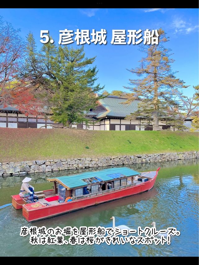 【滋賀】行ってよかった滋賀旅行！彦根おすすめ7選