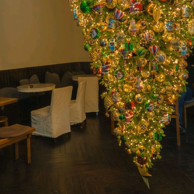 🎄이색적인 거꾸로 트리가 예쁜 연말에가기좋은 카페 [제주, 마마롱]