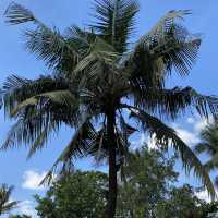 Binh Quoi Tourist Village 
