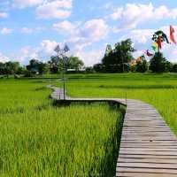 ทุ่งนา สะพานไม้ ใบเสมาหินโบราณ เต่างอย สกลนคร