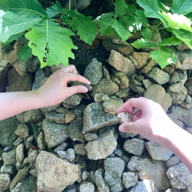 [인천] 청량산 🏔 