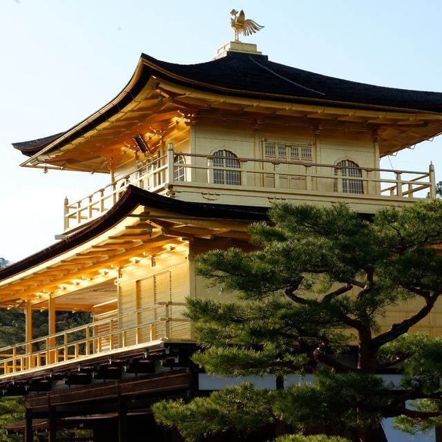 京都｜金色的世界遺產～金閣寺
