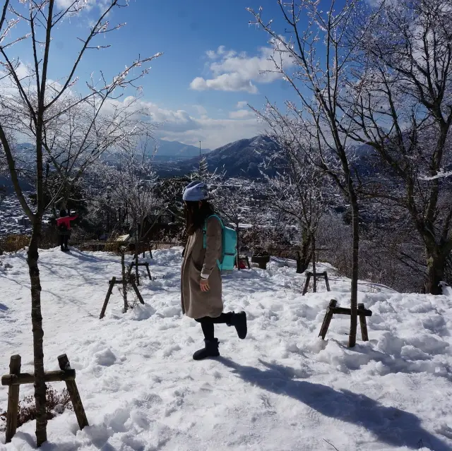 河口湖天上山公園❄️❄️