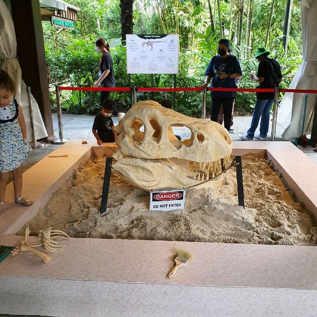 Singapore Zoo - Brickosaurs: Land Before Time