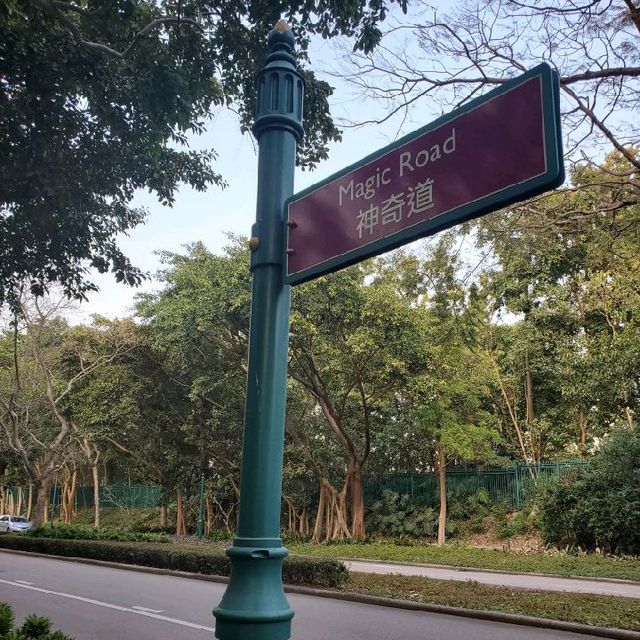 展開奇妙旅程🏰 迪士尼樂園酒店。圓公主夢👸