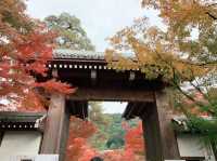 京都[紅葉めぐり]  永観堂(禅林寺)  圧巻の堂内編