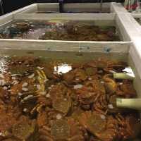 台北海鮮市場🦞餐廳｜上引水產