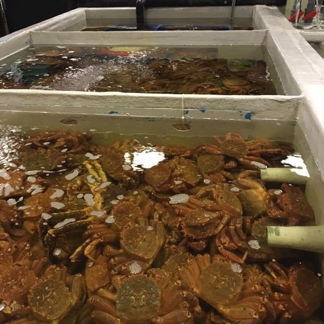 台北海鮮市場🦞餐廳｜上引水產