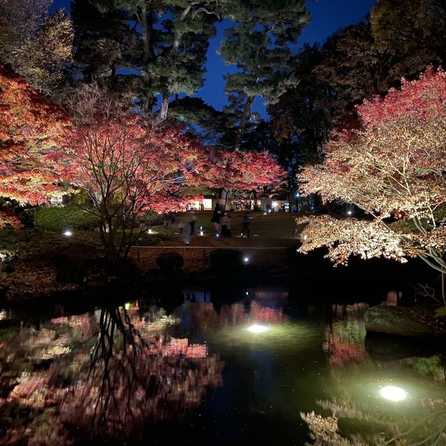 2021最後の紅葉を楽しむ