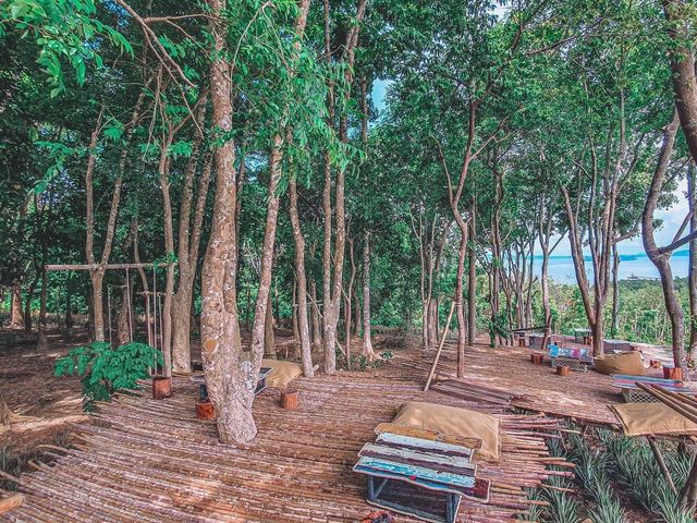รีวิวคาเฟ่ Dragon View Bar & Restaurant☘️🍂