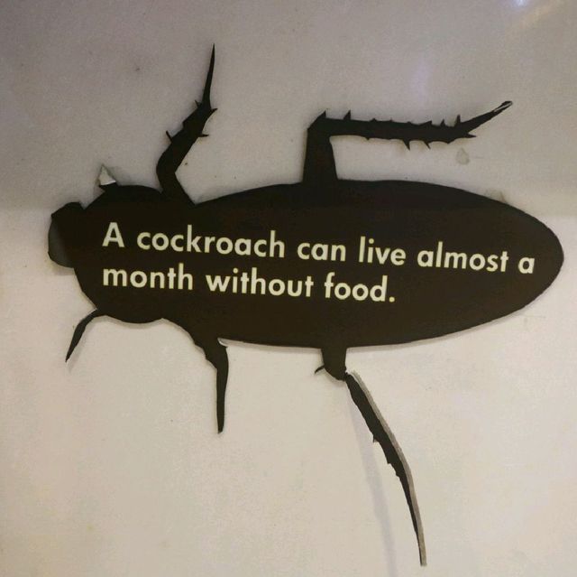 The Roachy Kitchen