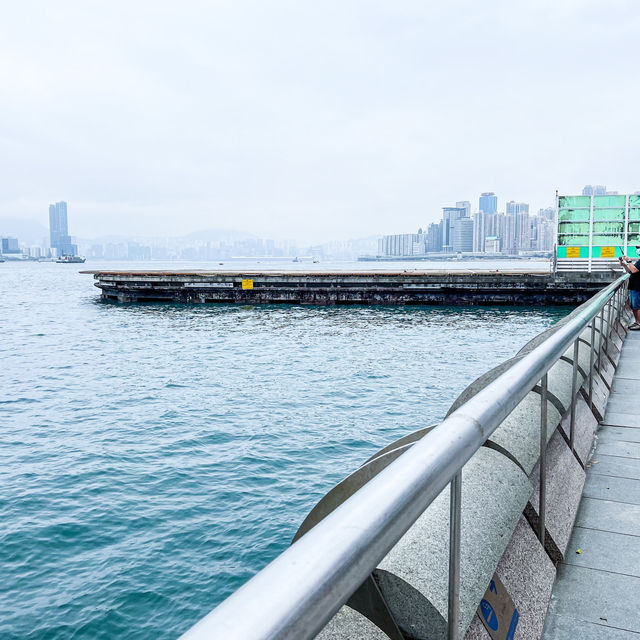 無敵海景 金紫荊廣場