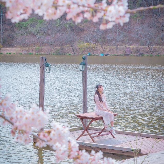 🌸벚꽃아래서 피크닉하기 좋은곳 [경주, 화랑의언덕]🌸