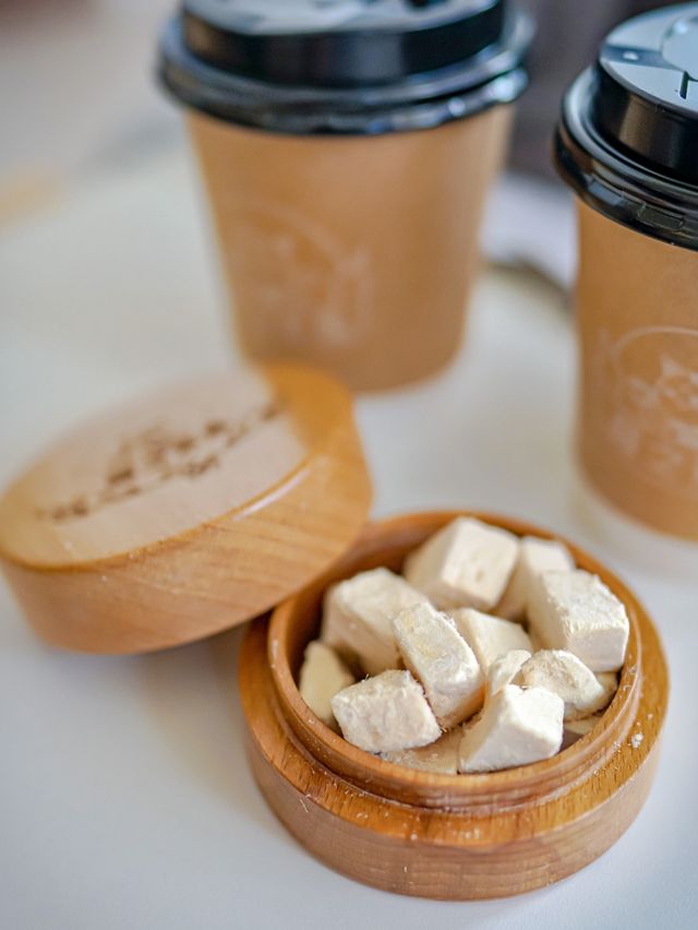 貓之茶房有愛心，幫流浪貓你有份