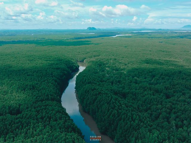 ล่องเรือส่วนตัวชมธรรมชาติของป่าโกงกางและเขาขนาบน้ำ