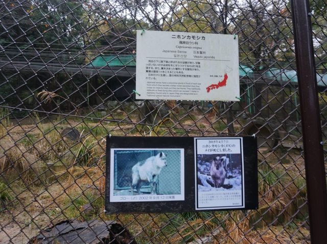 名古屋親子好去處推介《東山植物動物園》😎😎