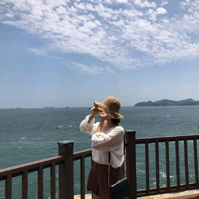 무더운 여름날 여수 오동도에서 시원한 바다바람과 나무그늘 만나보세요 시원한 여름휴가로 추천