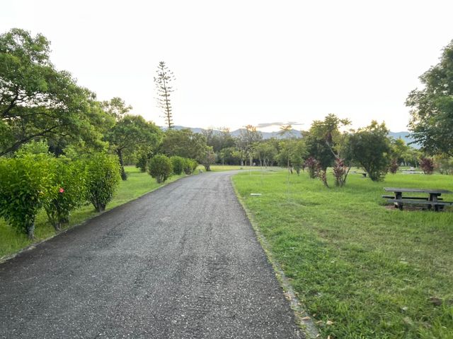 超美的台東森林公園 這裡還有琵琶湖可以賞景色 更可以騎自行車放鬆唷