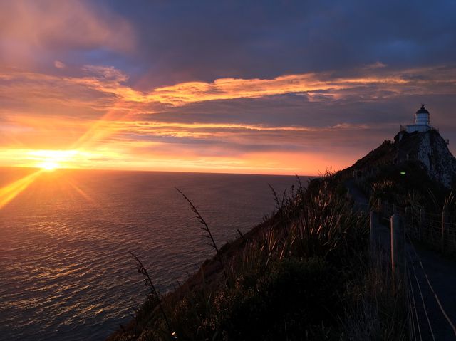 🇳🇿뉴질랜드에서 바라보는 가장 멋진 일출🌅