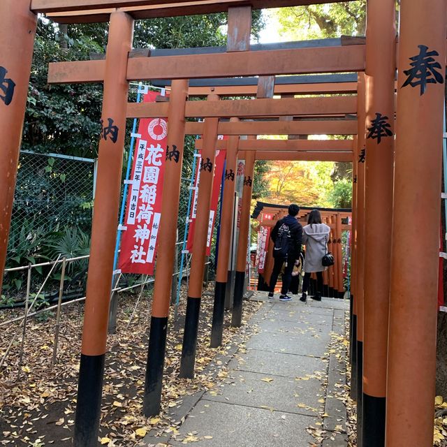 紅葉の上野公園はとても綺麗！