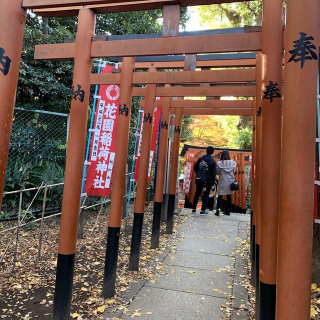 紅葉の上野公園はとても綺麗！