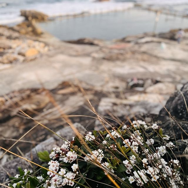 Spectacular Maroubra beach