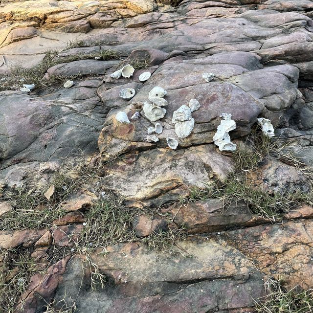 冇做開運動都可以行既山⛰⛰