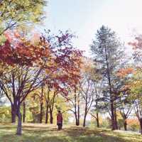 帯広＊緑ヶ丘公園