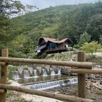 Camping in the fall ( Seoraksan Mountain)