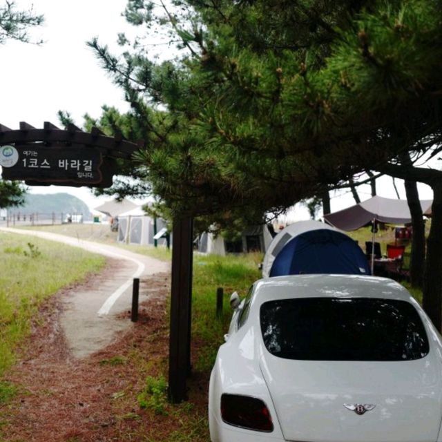 몽산포 오토 캠핑장