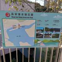 水塘扒船仔