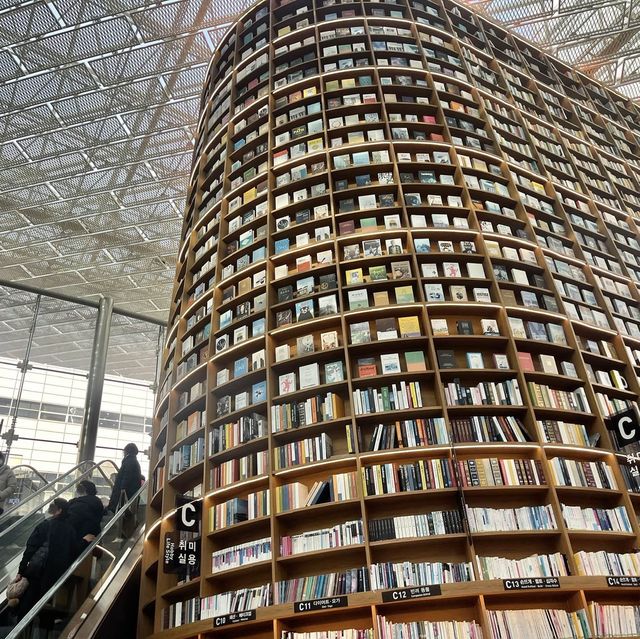서울 코엑스 별마당 도서관 대형트리 / 라이팅쇼