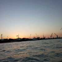 Selat Madura