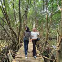 TAMAN WISATA ALAM MANGROVE, JAKARTA❤️