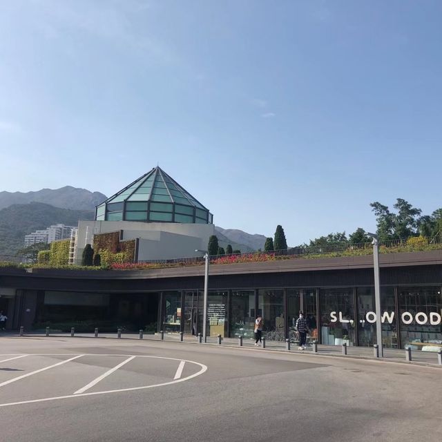 往一個充滿異國風情的小島