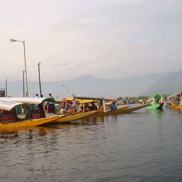 ทะเลสาบดาล (Dal Lake) แคชเมียร์