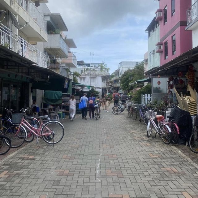 梅窩越南🇻🇳蟹茄湯濛
